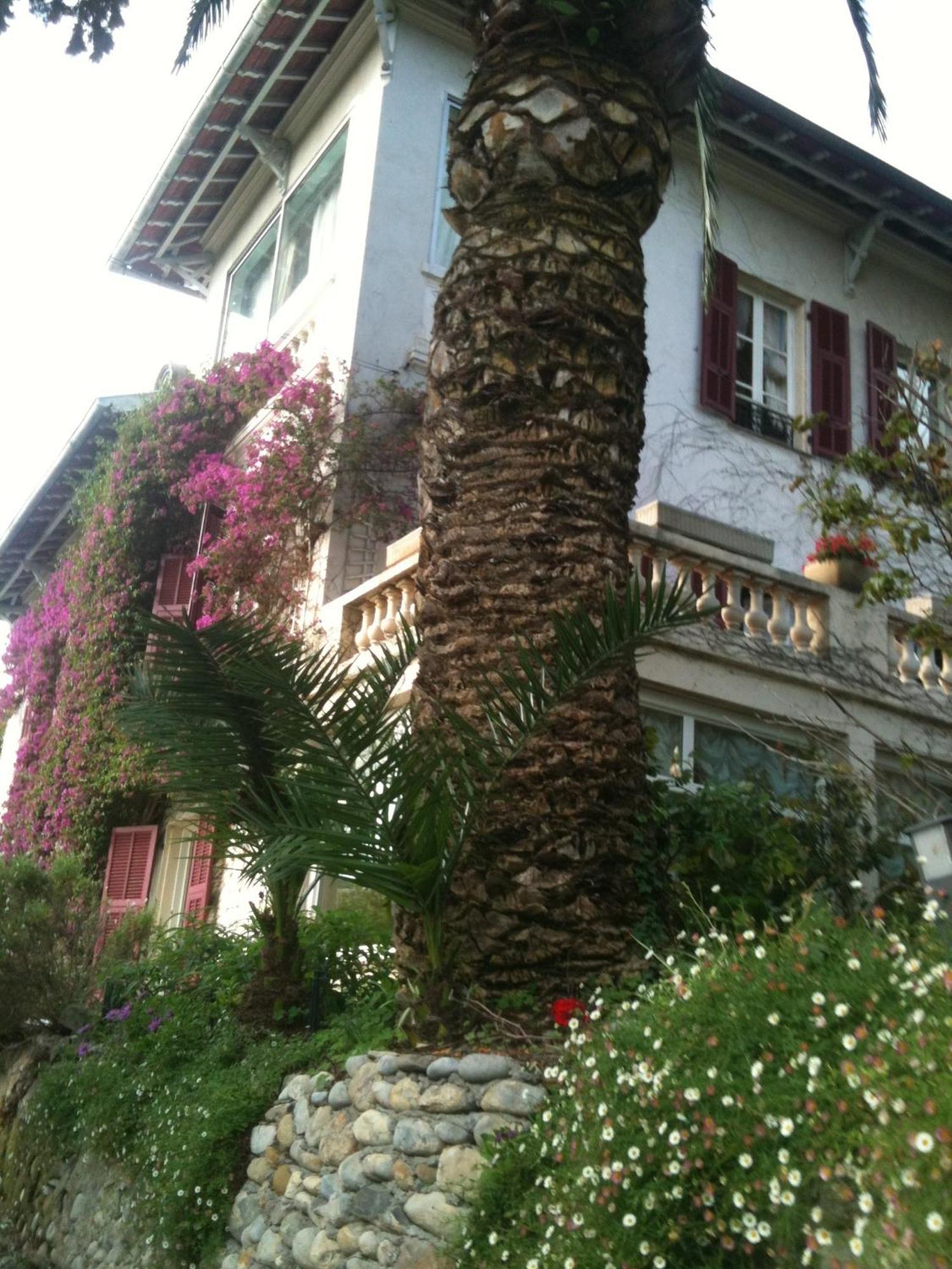 Castel Enchante Nice Bagian luar foto